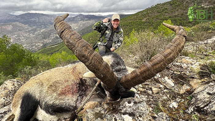 Ronda-ibex-trophy_Benny_Iberhunting
