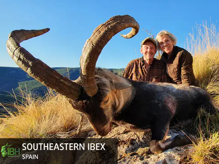 SOUTHEASTERN-IBEX