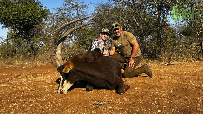 Sable-hunting-south-africa-iberhunting