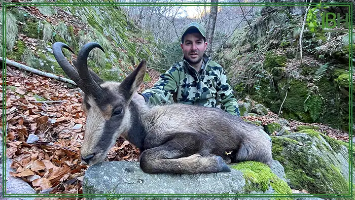 Sergio-with-Pyrenean-chamois-in-Spain