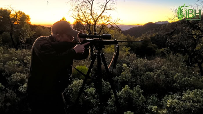 Shooting-Ronda-ibex-hunt-in-Spain