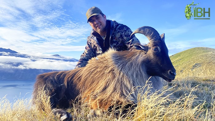 Tahr-hunting-in-New-Zealand-Iberhunting