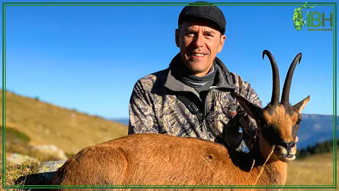 Trophy-hunt-Pyrenean-chamois