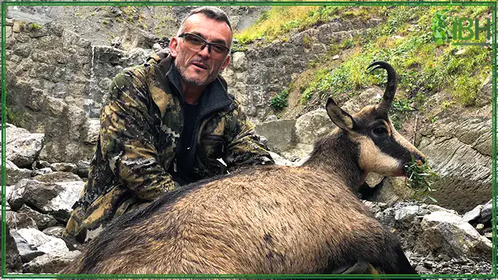 Vercors-chamois-hunt-in-France