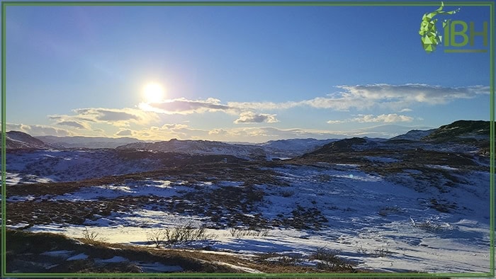 Views-from-the-hunting-area-Greenland (1)