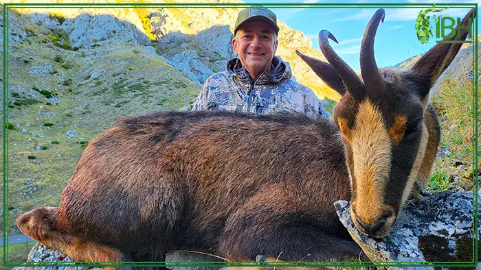 cantabrian-chamois-hunt-spain