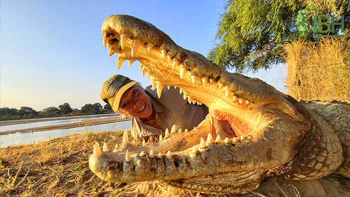 crocodile-zambia-hunting-2022-3