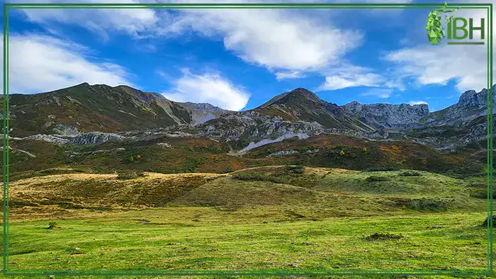 views-from-the-cantabrian-chamois-hunting-ara