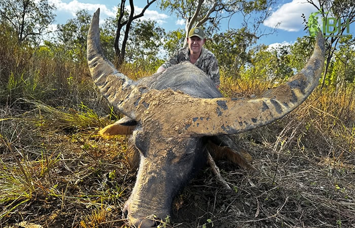 water-buffalo-gold-medal-australia_iberhunting