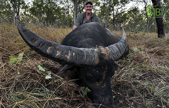 water-buffalo-silver-medal-australia_iberhunting