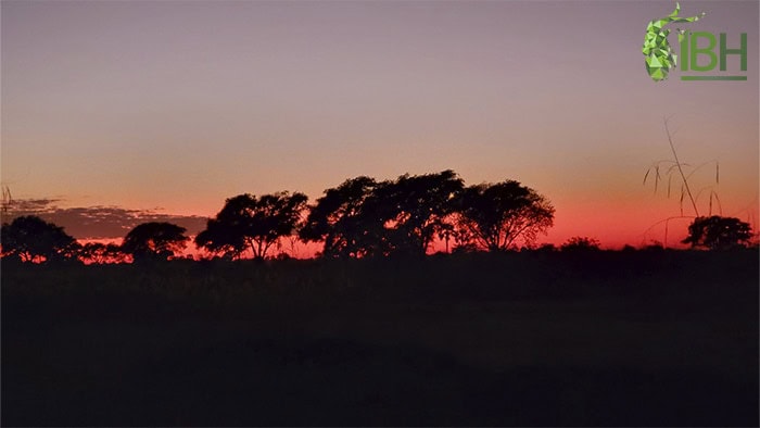 zambia-accommodation-3