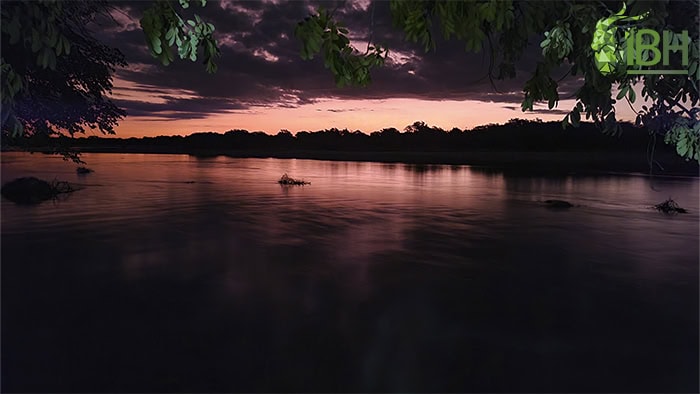 zambia-hunting-2022-10
