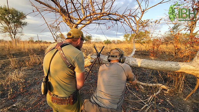 zambia-hunting-2022-11
