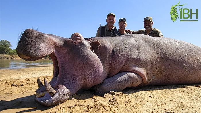 zambia-hunting-2022-17