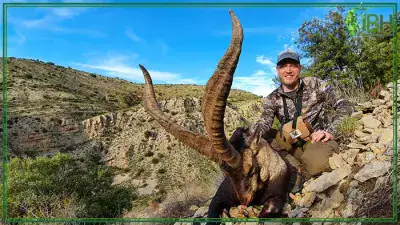 Beceite-ibex-Nick-Hofmann-400x225 (1)