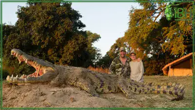 Crocodile-hunting-in-Zambia-400x225 (1)