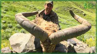 Dagestan-tur-hunt-in-Tajikistan-400x225 (1)