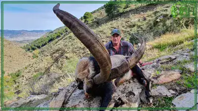 Great-Southeastern-ibex-hunting-trophy-400x225