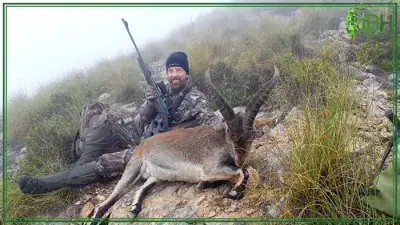 Hunter-in-Spain-hunting-Southeastern-ibex-400x225 (1)