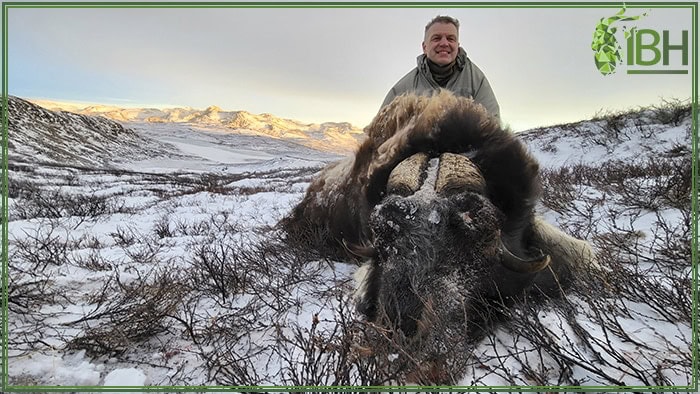 Hunter-with-his-muskox-Greenland (1)