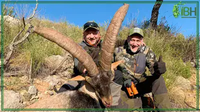 Hunters-with-Beceite-ibex-in-Spain-400x225 (1)