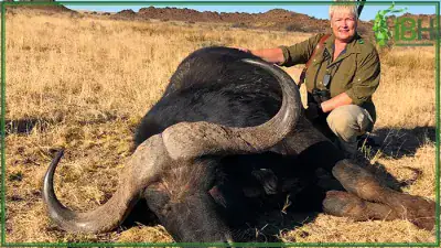 Hunting-buffalo-in-South-Africa-400x225 (2)