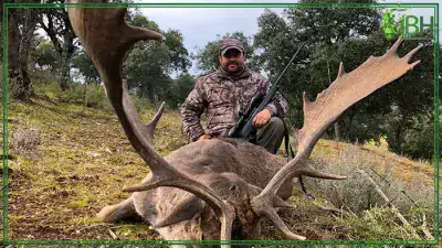 Hunting-fallow-deer-400x225