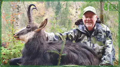 Hunting-in-Romania-chamois-400x225 (1)