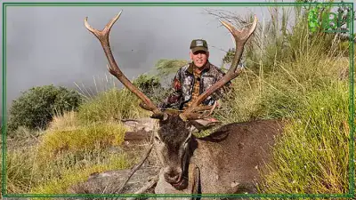 Hunting-red-deer-in-spain-400x225 (1)