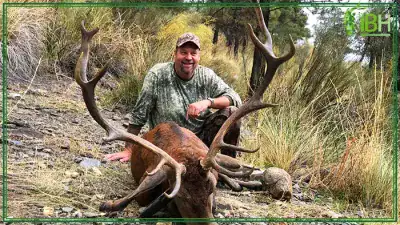 Hunting-red-stag-deer-spain-400x225 (1)
