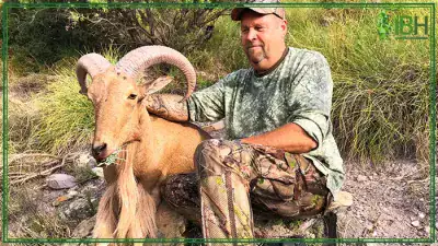 Mads-Aoudad-Sheep-hunting-in-Spain-400x225