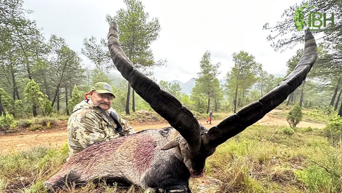 Rudi-Beceite-ibex-trophy (1)