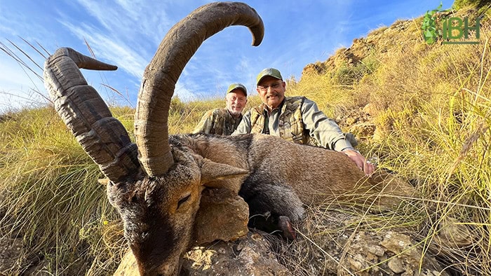 Rudi-Southeastern-ibex-trophy (3)