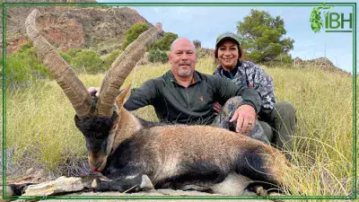 Southeastern-ibex-in-Spain-hunt-400x225 (1)