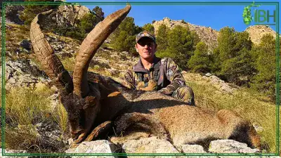 Southeastern-ibex-in-Spain-hunting-400x225