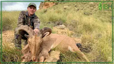 aoudad-sheep-hunt-400x225 (1)
