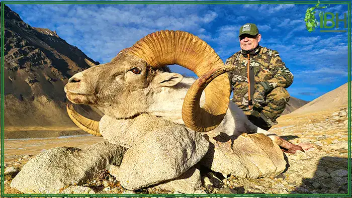 marco-polo-hunt-tajikistan (1)