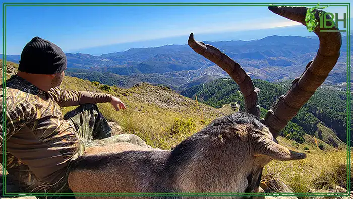ronda-ibex-hunting (1)