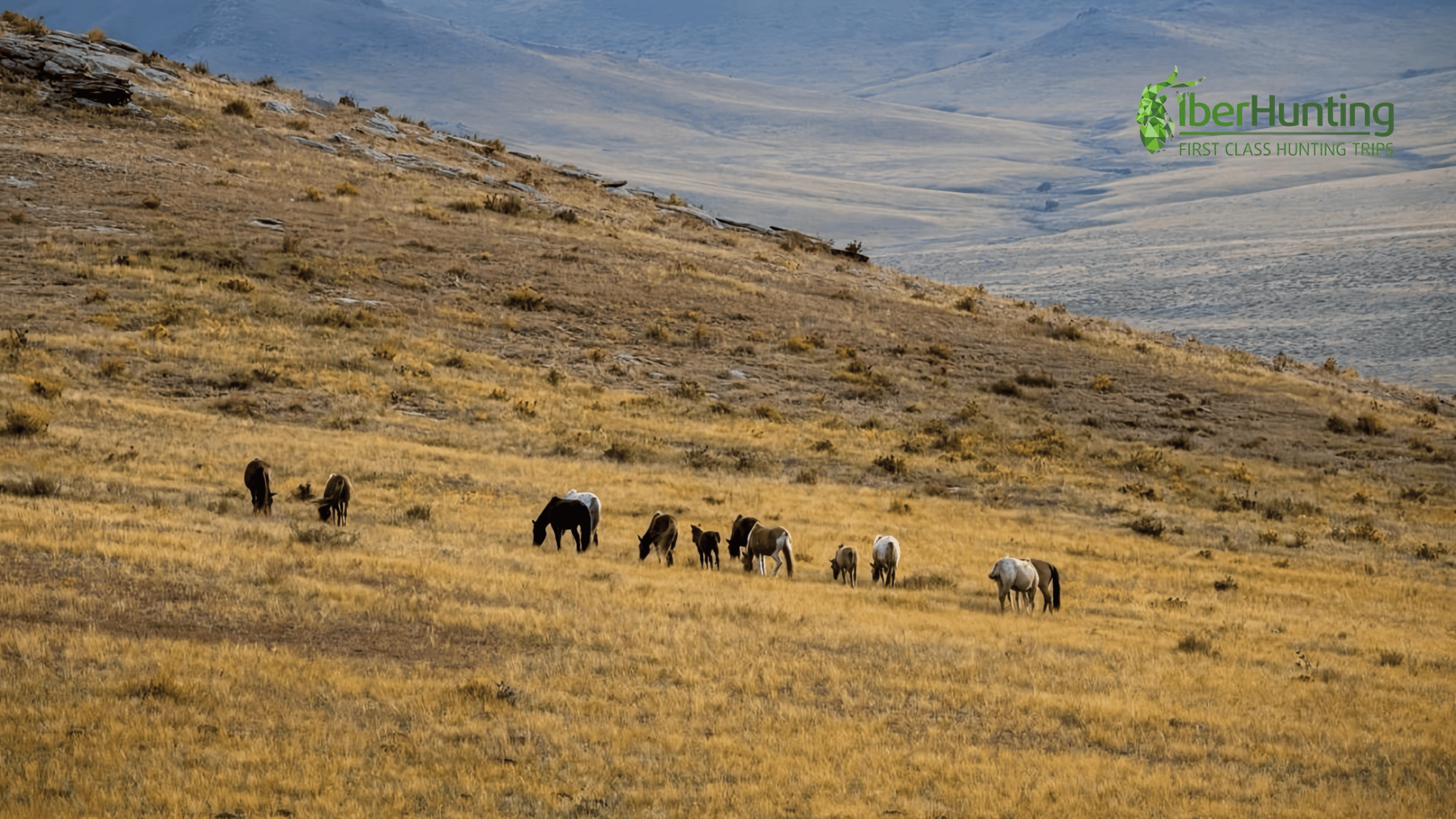 mongolian-hunting