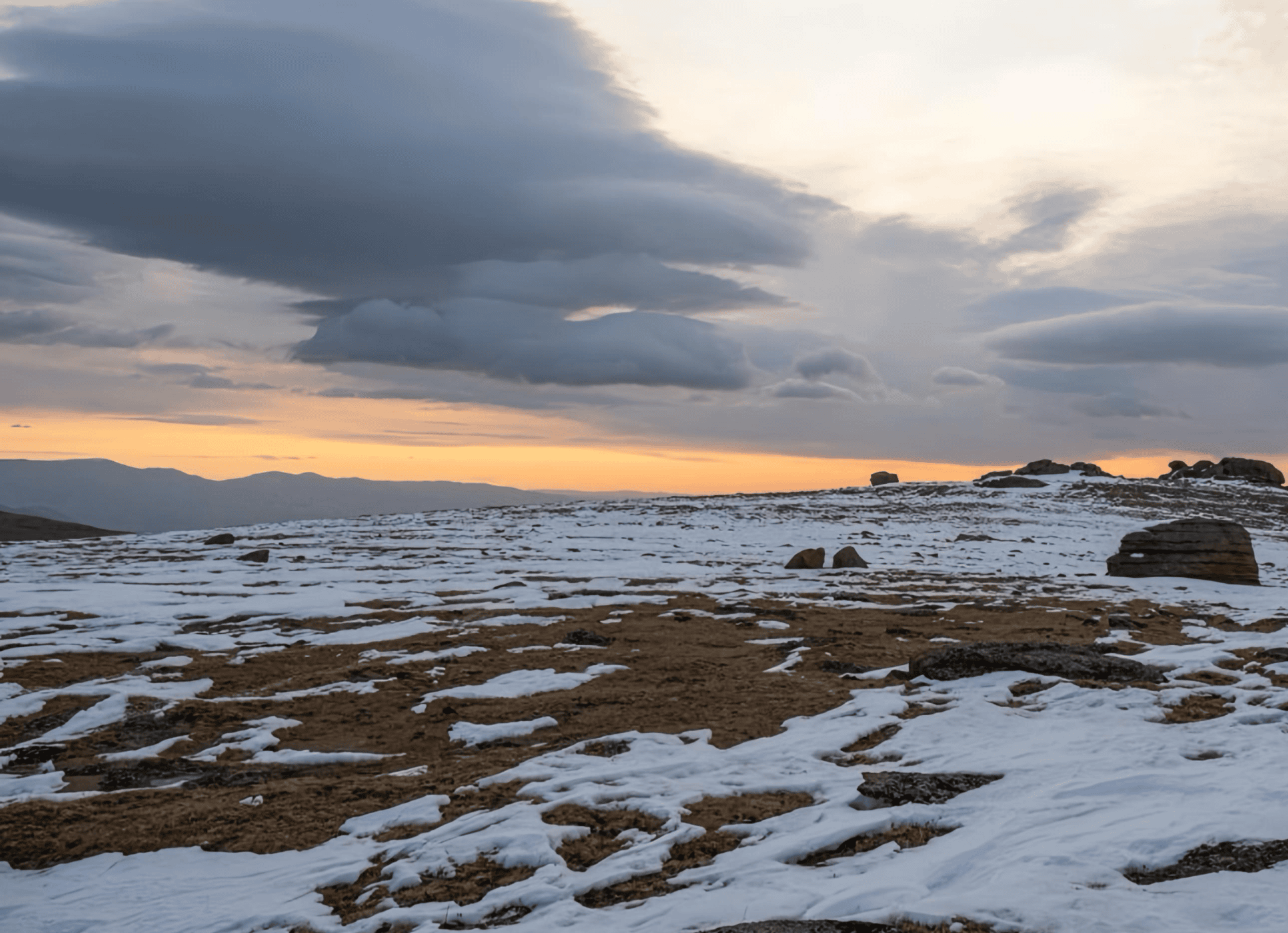 mongolian-hunting